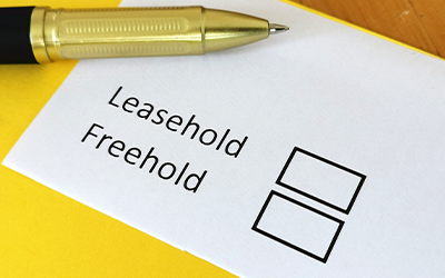 Freehold and Leasehold Property